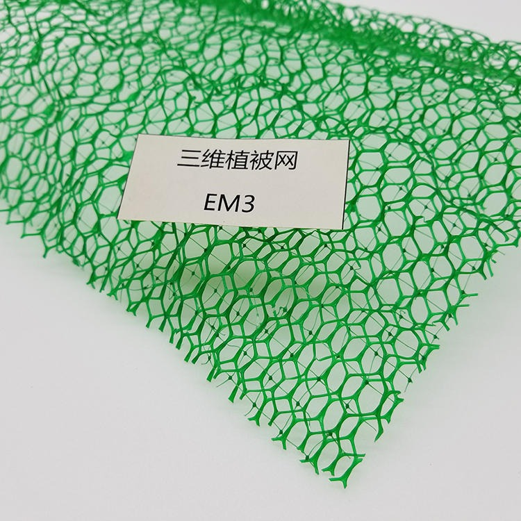 三維植被網(wǎng)推薦山東萬(wàn)旭工程材料